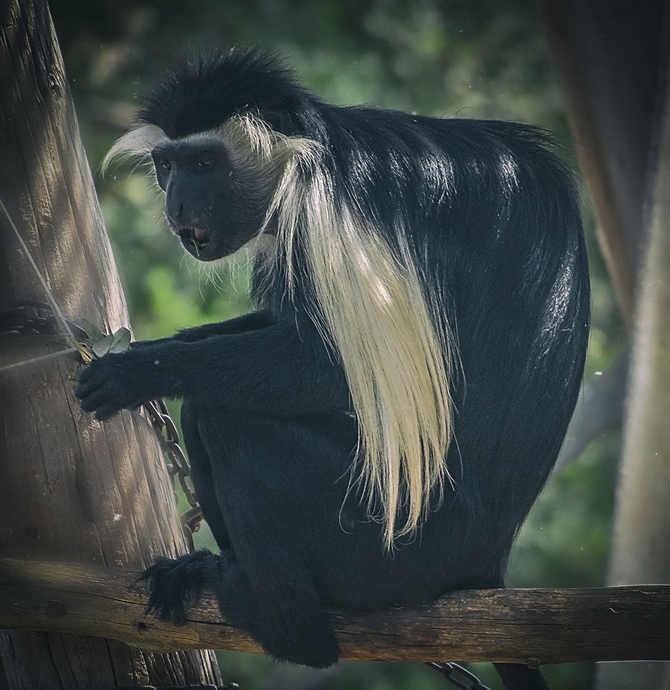 Photograph by Владислав Айзенберг