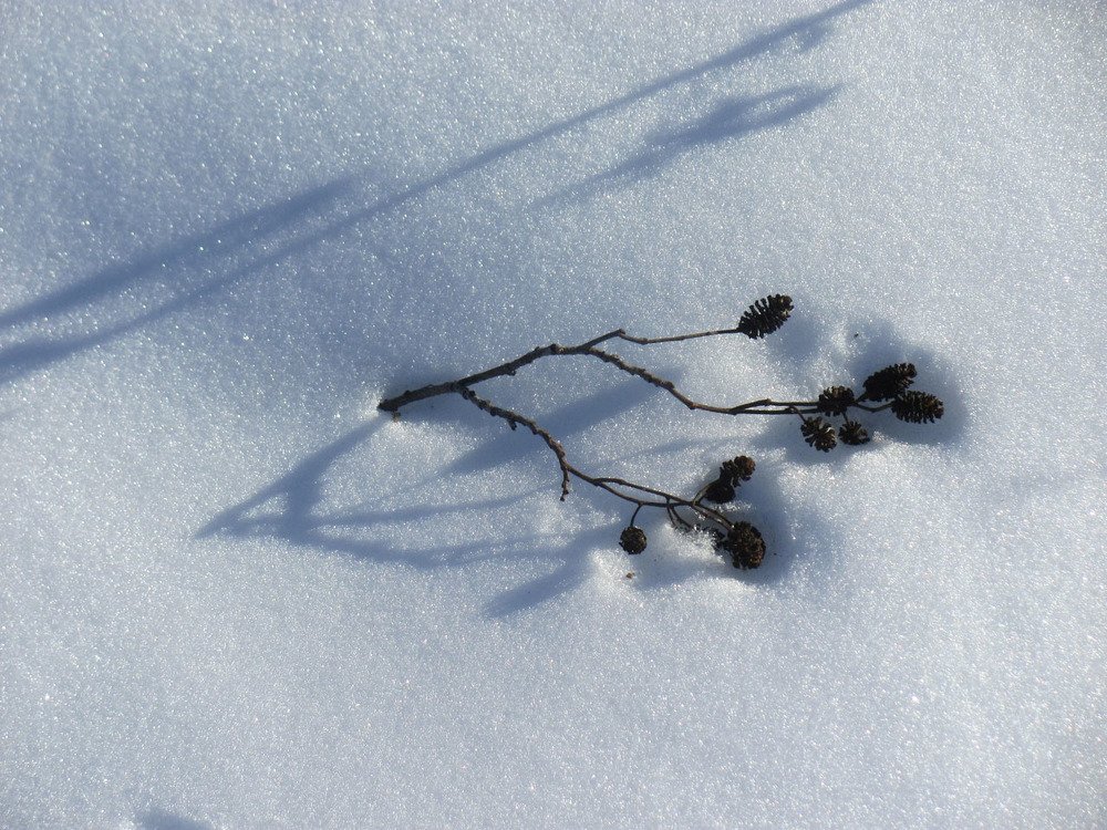 Снежный иероглиф