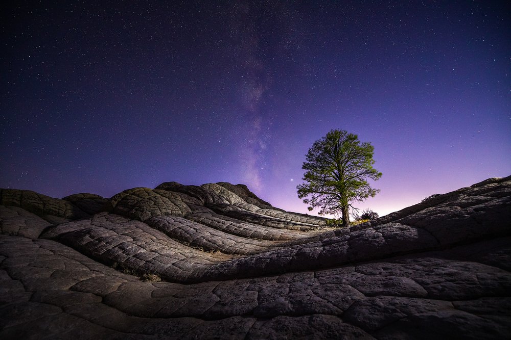 Photograph by Lana Anferow