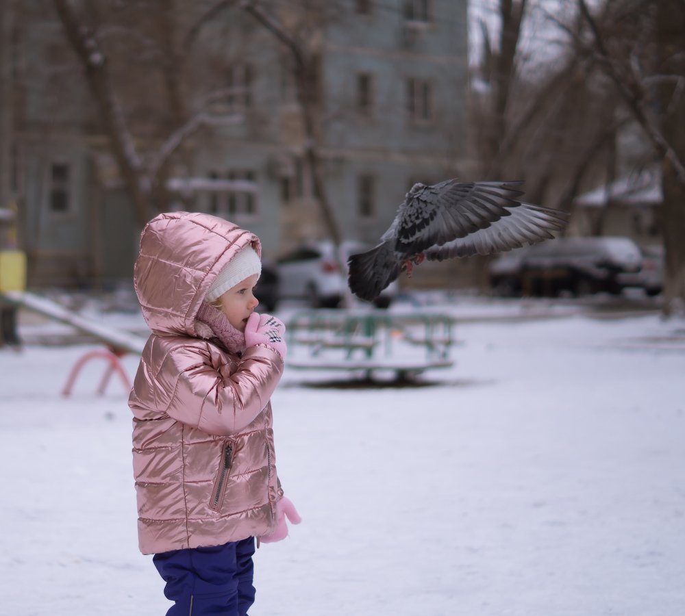 Photograph by Диана Сорокина