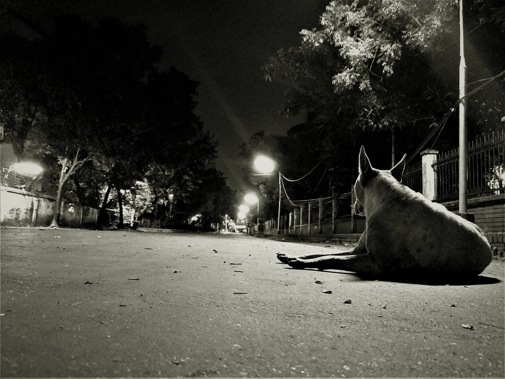 Waiting for the last night