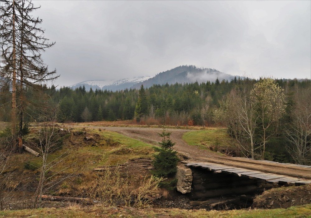 Photograph by Андрей Телибаев