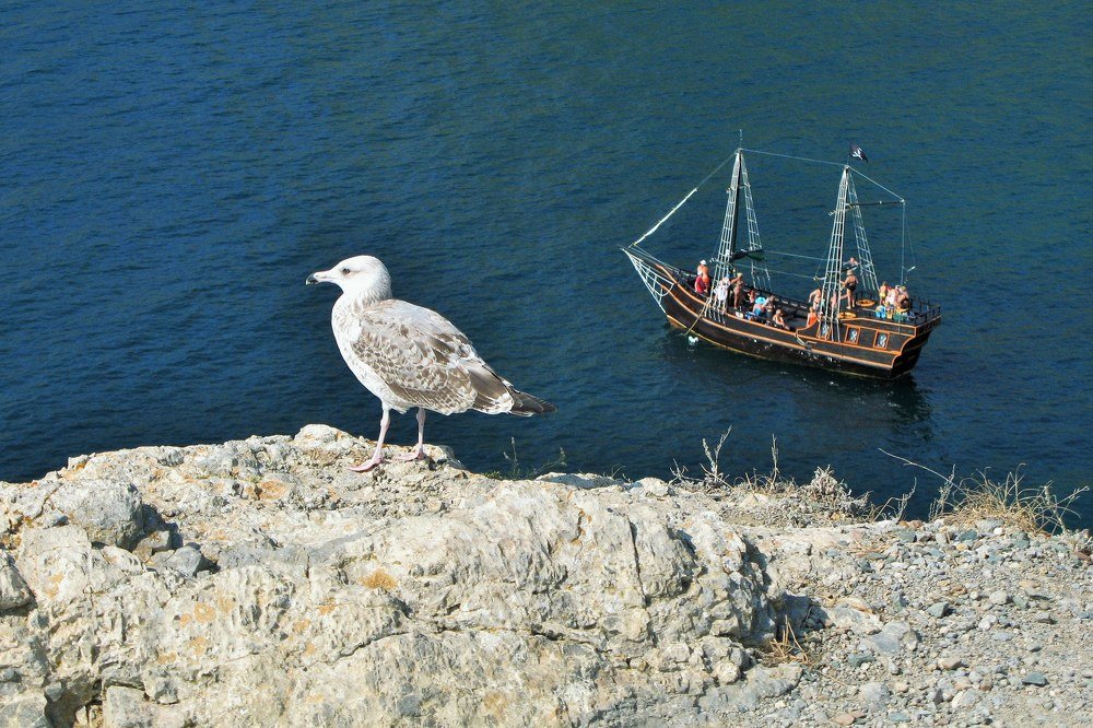 Photograph by Leonid Pakhomov