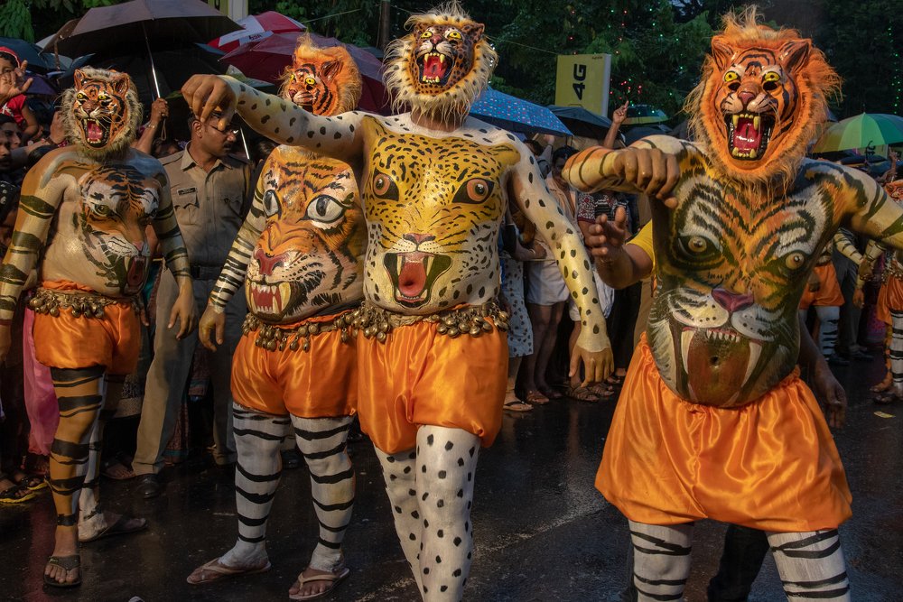 TIGER DANCE