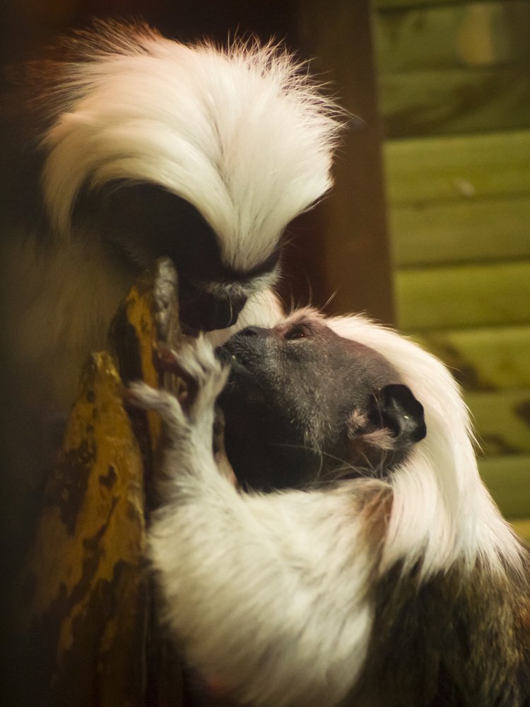 Photograph by Роман Мацнев