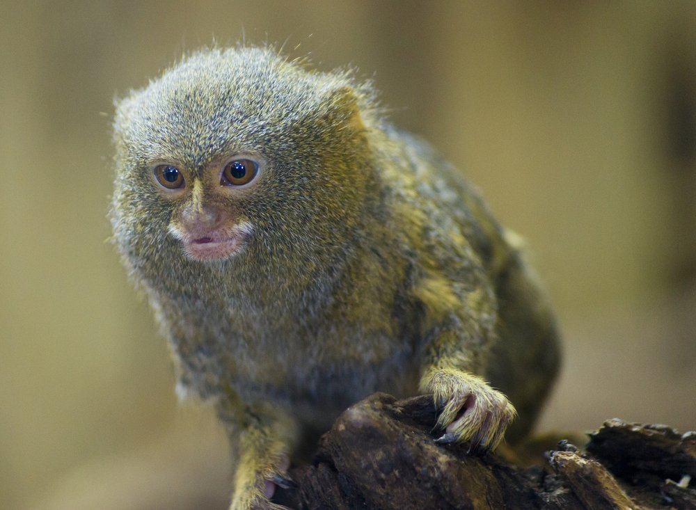 Photograph by Роман Мацнев