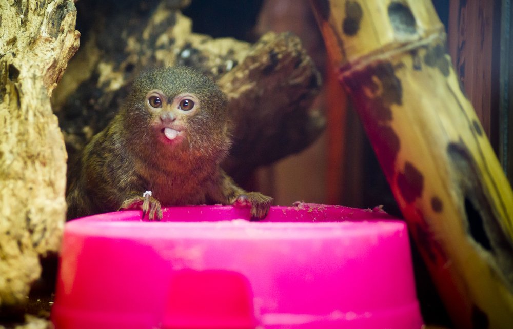 Photograph by Роман Мацнев