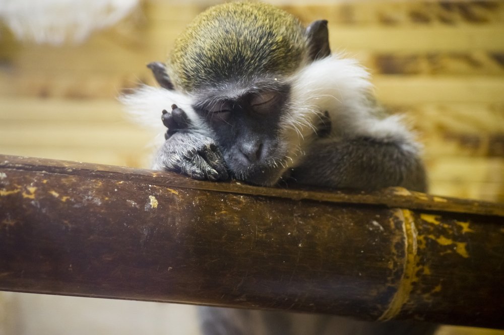 Photograph by Роман Мацнев