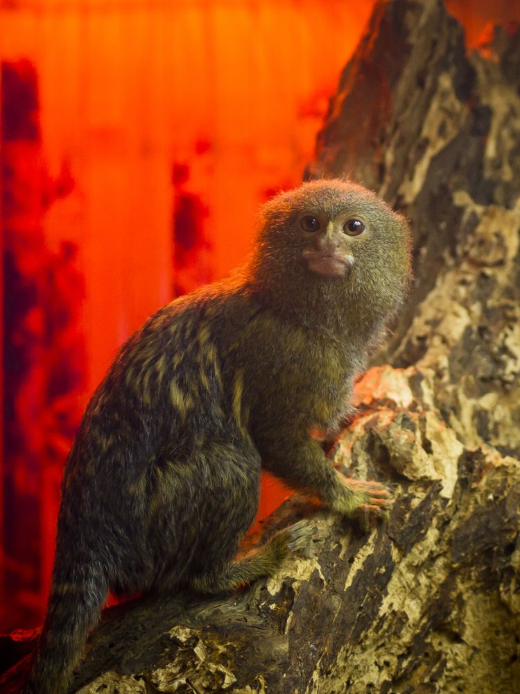 Photograph by Роман Мацнев