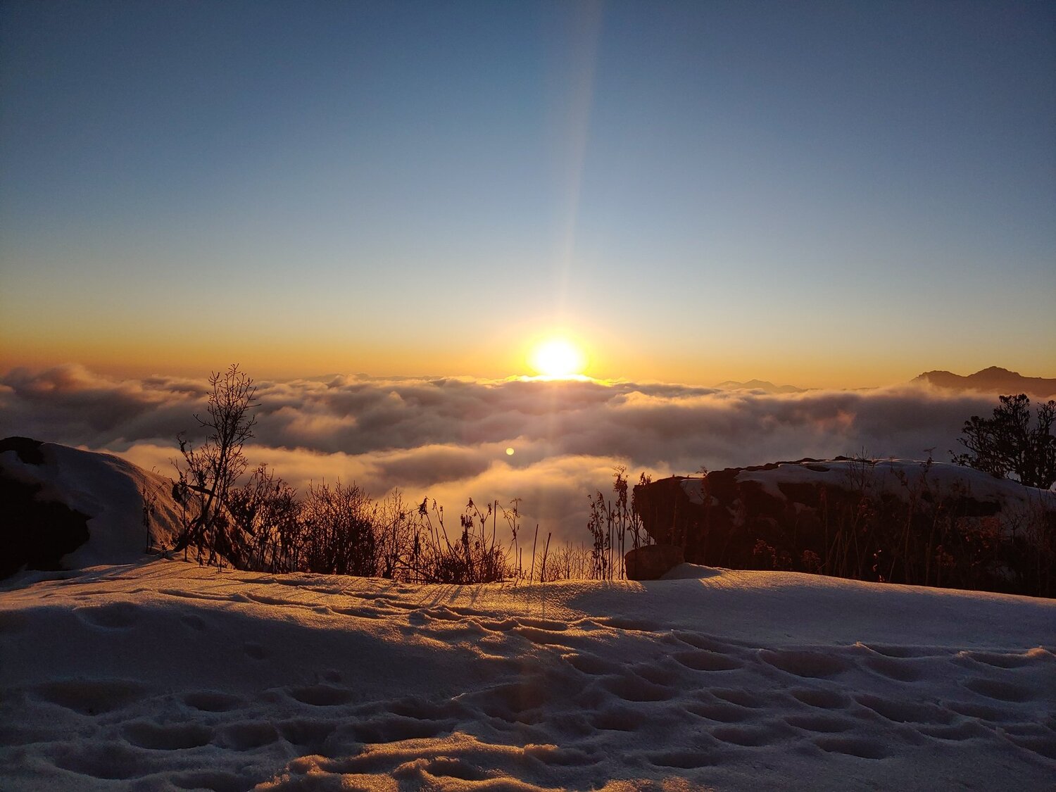 Photo #4160499