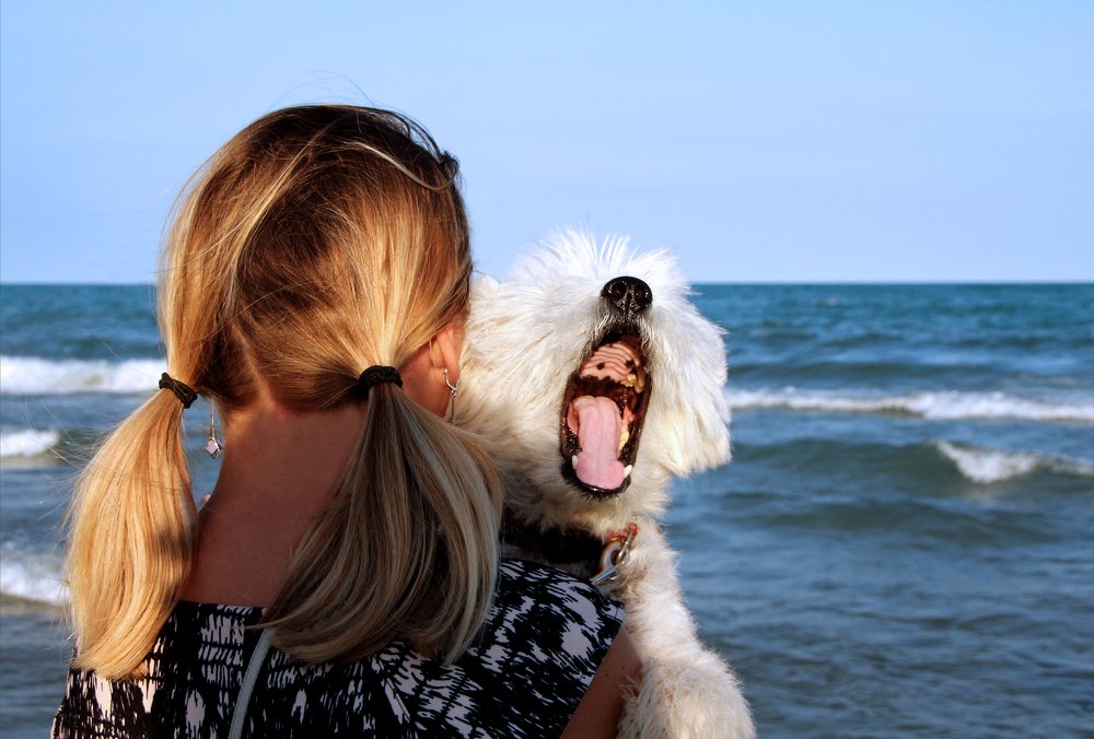 Photograph by Валерия Маркова