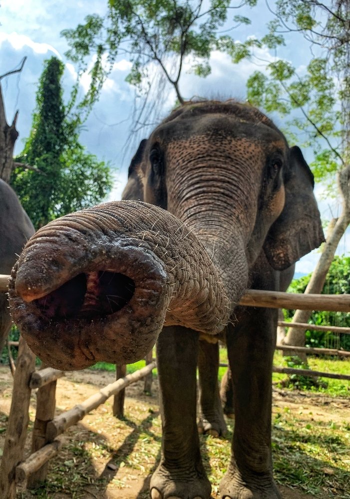 Photograph by Юлия Казакова