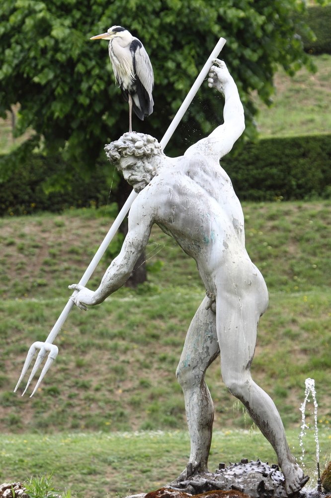 Photograph by Сергей Ножнин