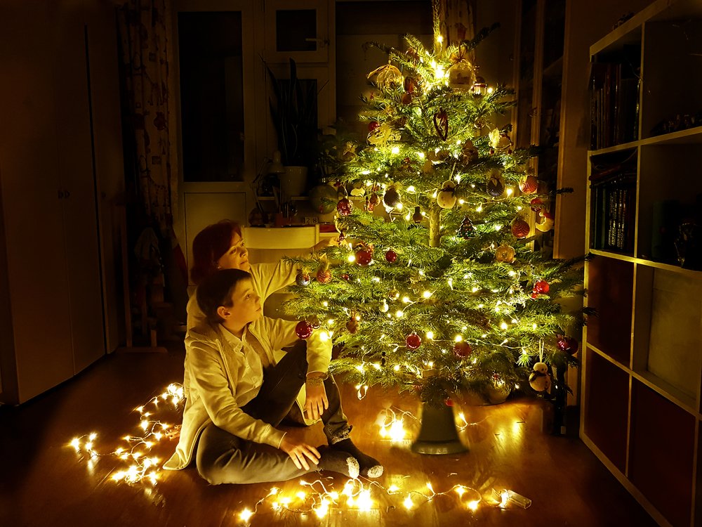 У новогодней елки