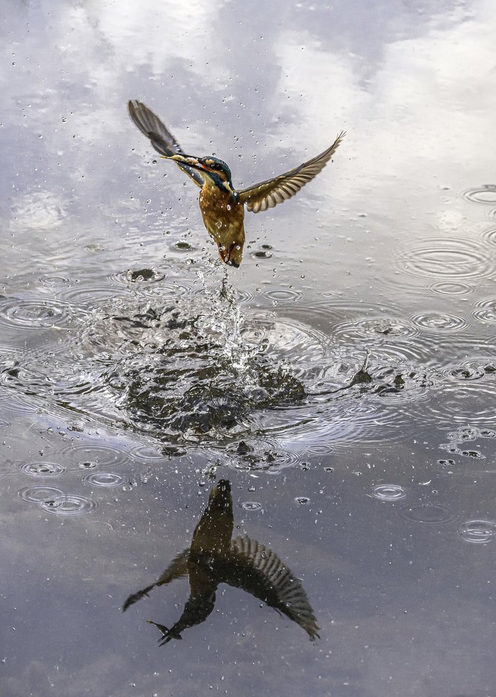 Photograph by Dino Garmy