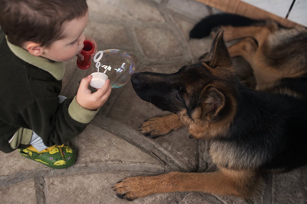 Photograph by Анастасия Исайкина