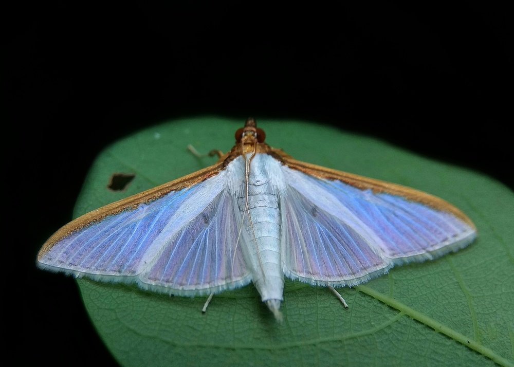 Photograph by Dharmendra Padhiyar