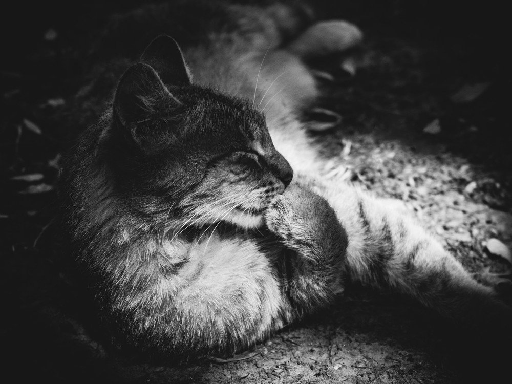 Photograph by Yana Khazova