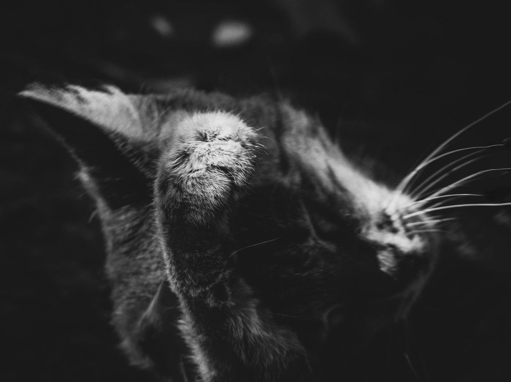 Photograph by Yana Khazova