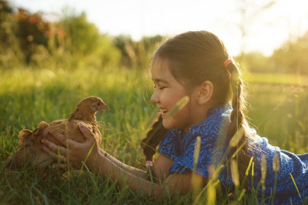 Photograph by Сапожникова Виктория