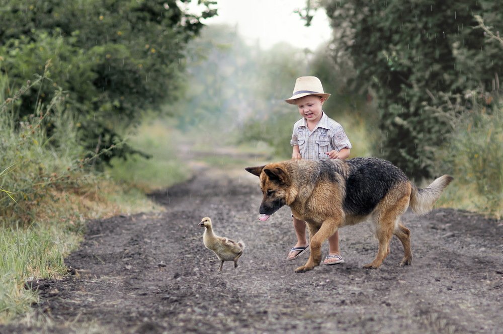 Photograph by Александр Поборчий