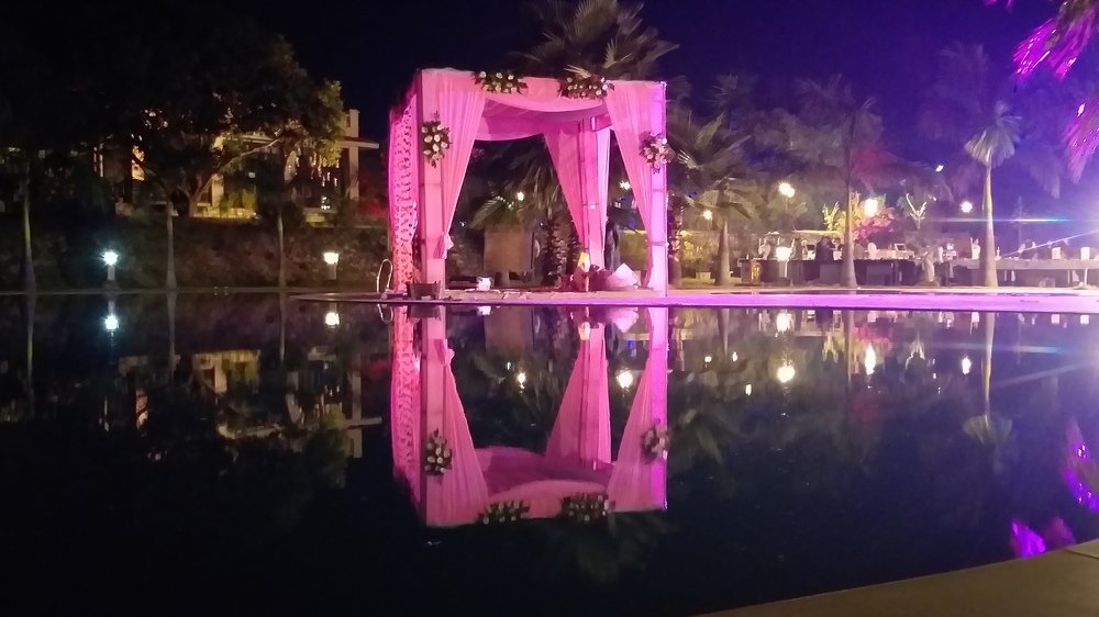 Photo #4161006