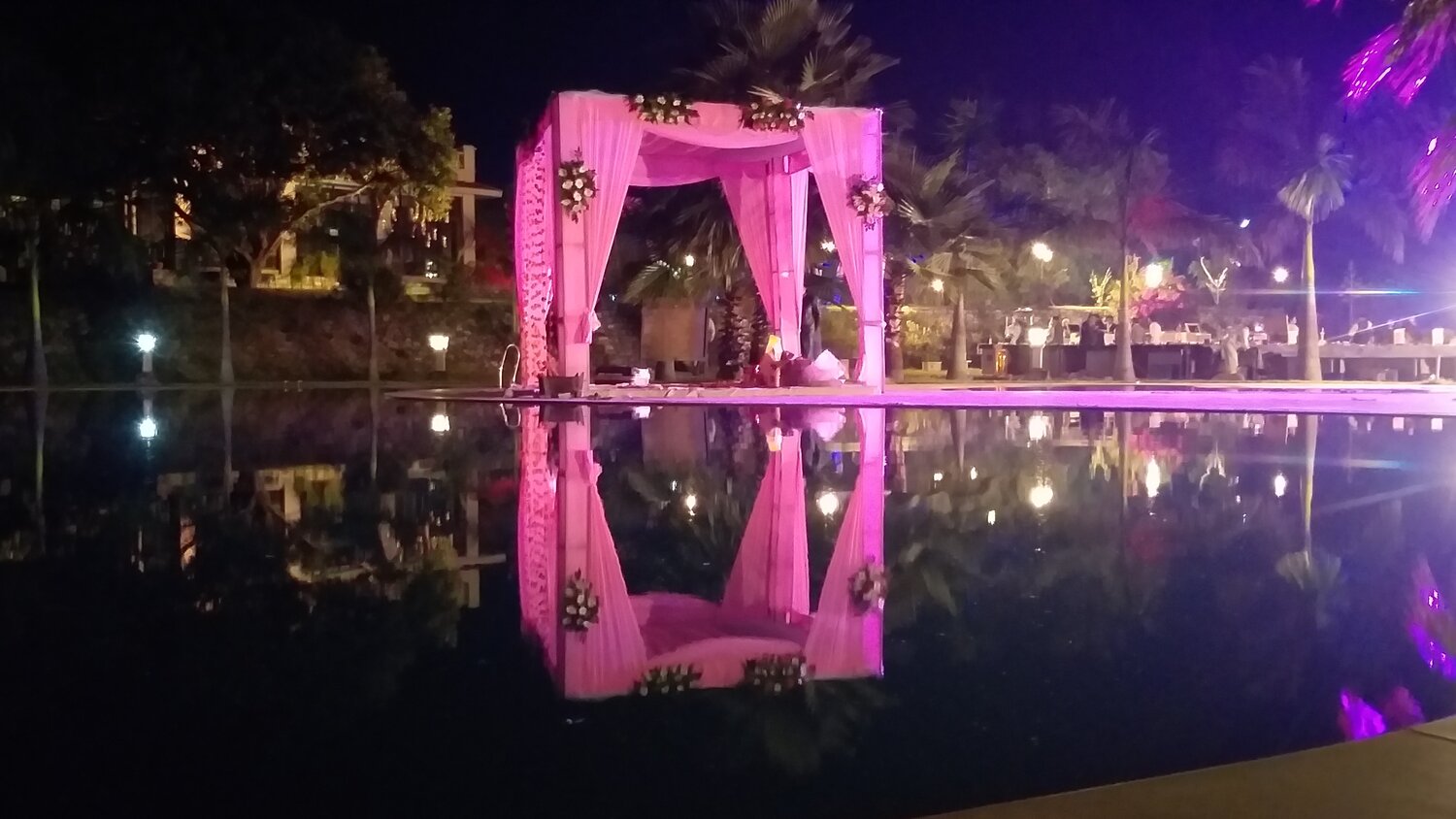 Photo #4161006