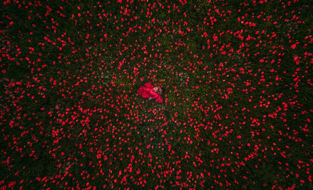 Photograph by Надежда Разумная