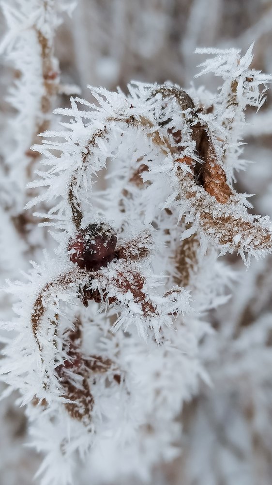 Photograph by Ирина Львова