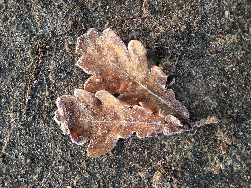 Photograph by Вера Демиденко