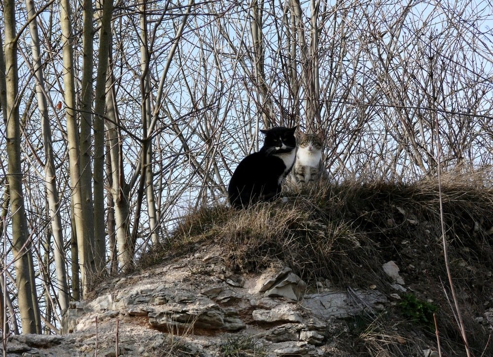 Photograph by Марина Игнатьева