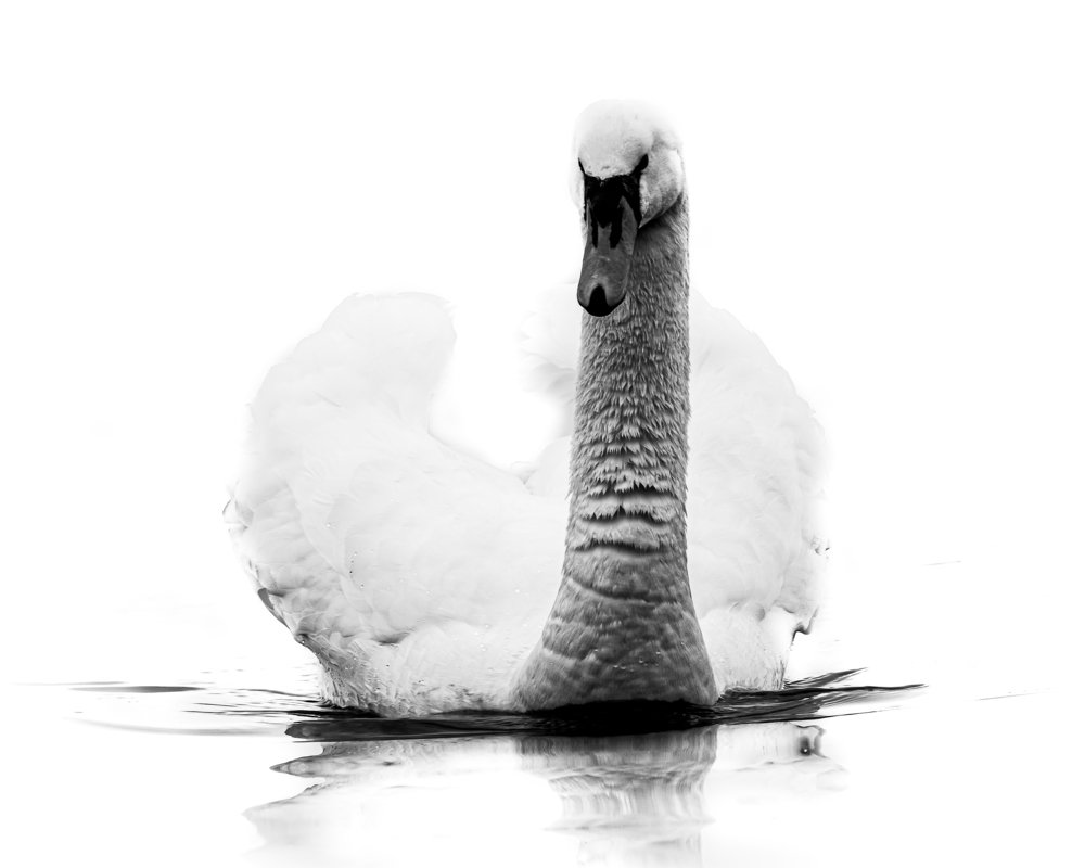 Photograph by JAMES BAILEY