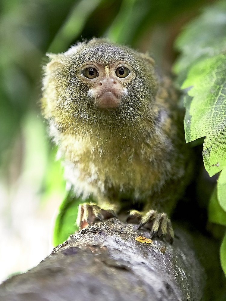 Photograph by Елена Мормоль