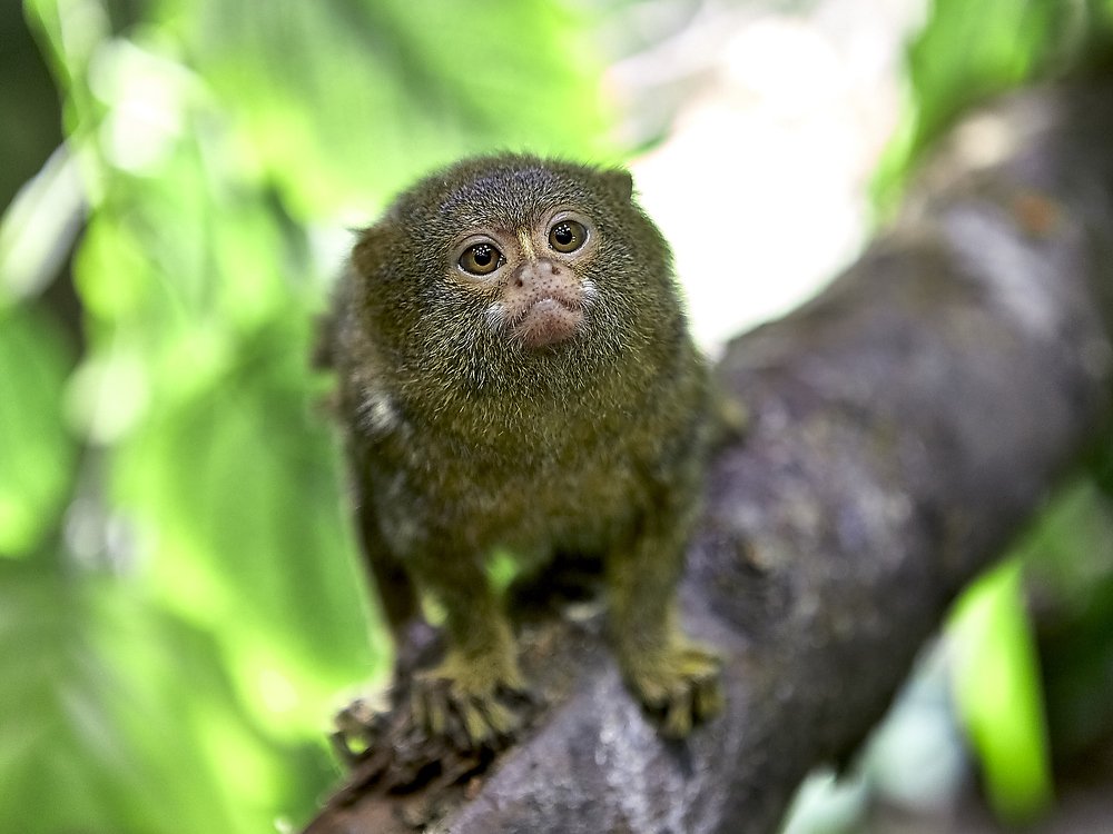 Photograph by Елена Мормоль