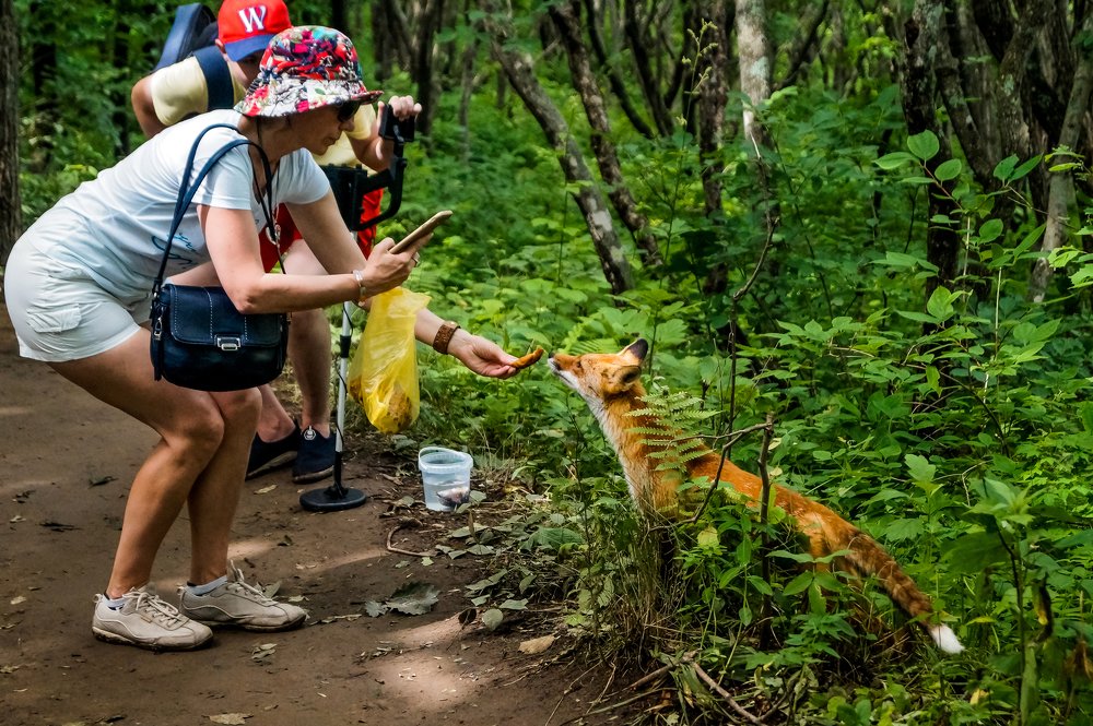Photograph by Виктор Сёмушкин