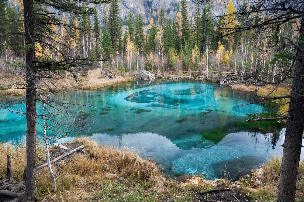 Гейзерное озеро Алтая