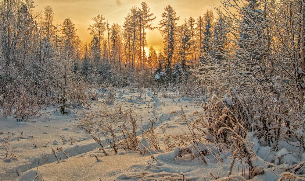 По рыбацкой тропе