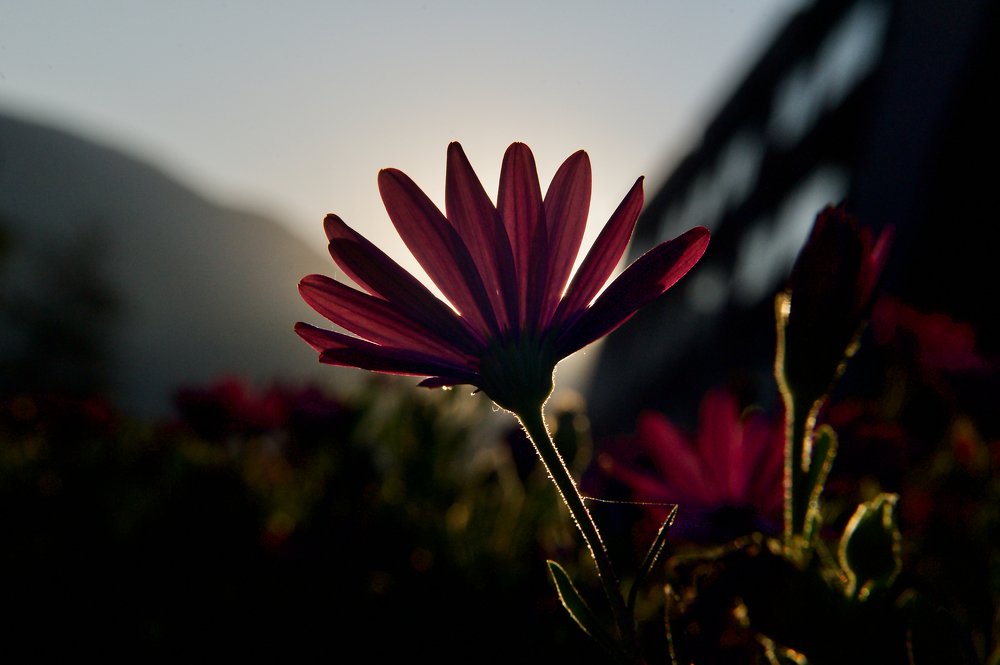 Photograph by Igor Ryzhov