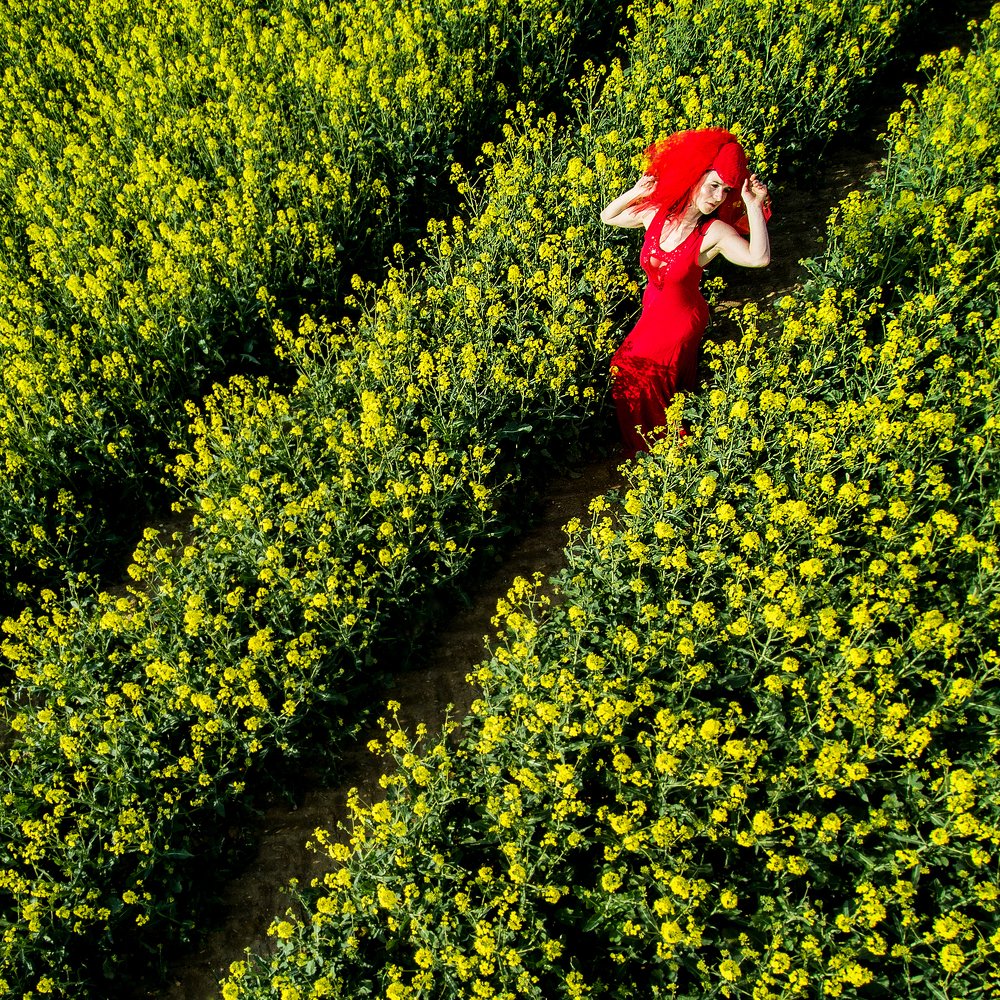 Photograph by Dirk Ludwig