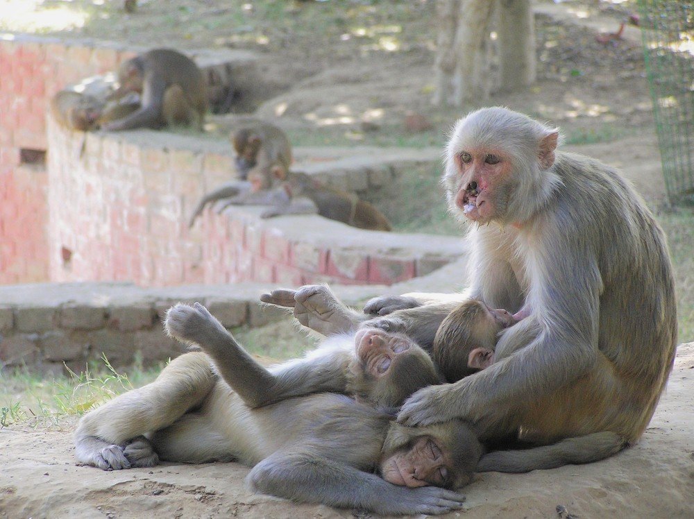 Photograph by Анна Харланова