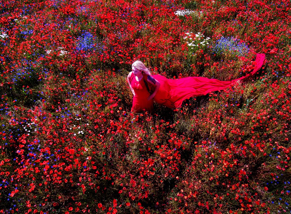 Photograph by Dirk Ludwig