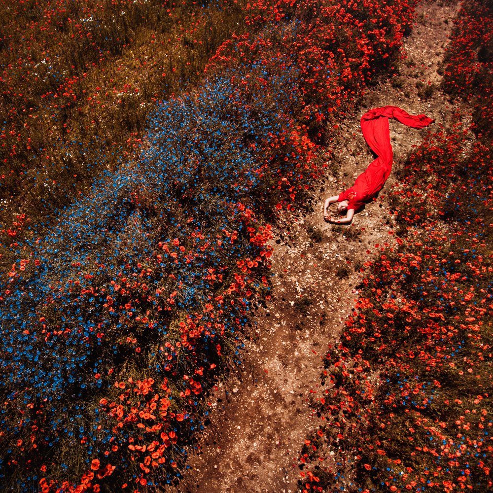 Photograph by Dirk Ludwig