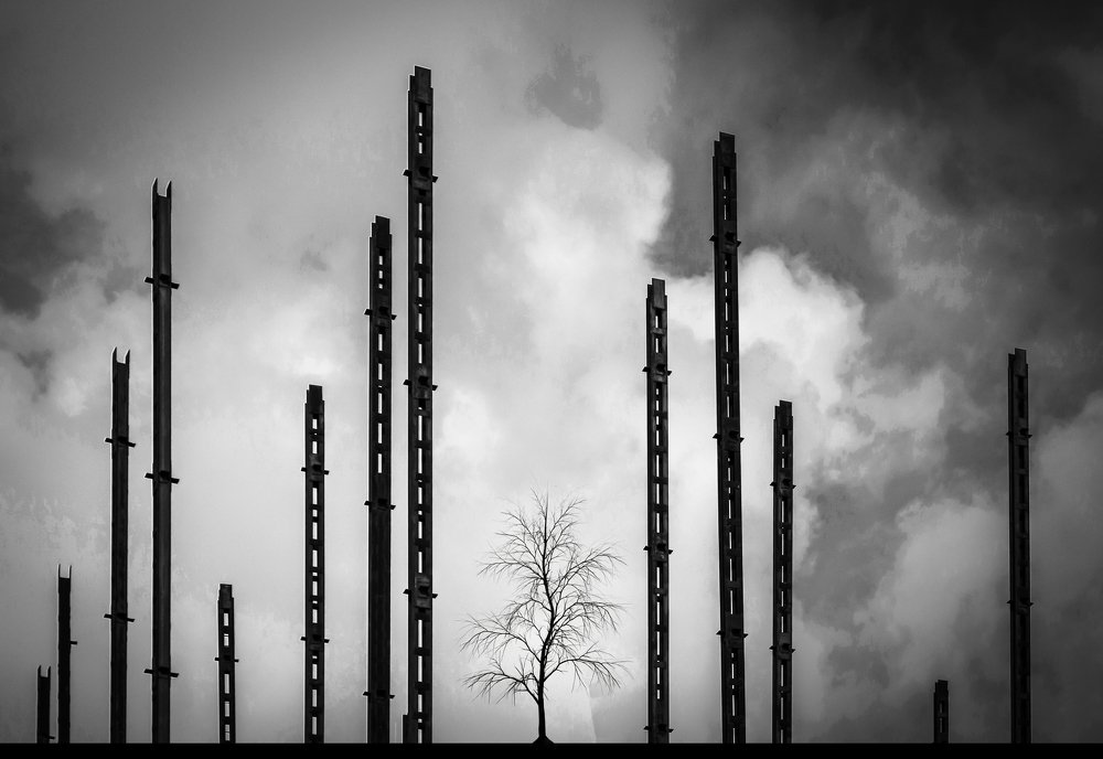 Photograph by Mohammad Tayebi