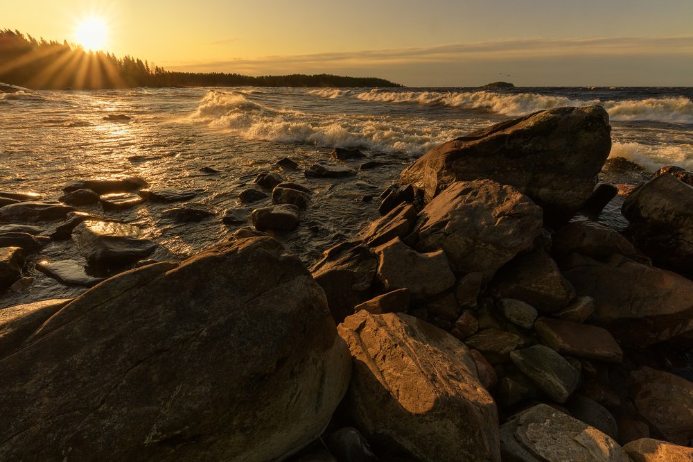 Photograph by Елена Лебедева