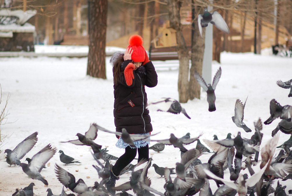 Голубей бояться - в парк не ходить.