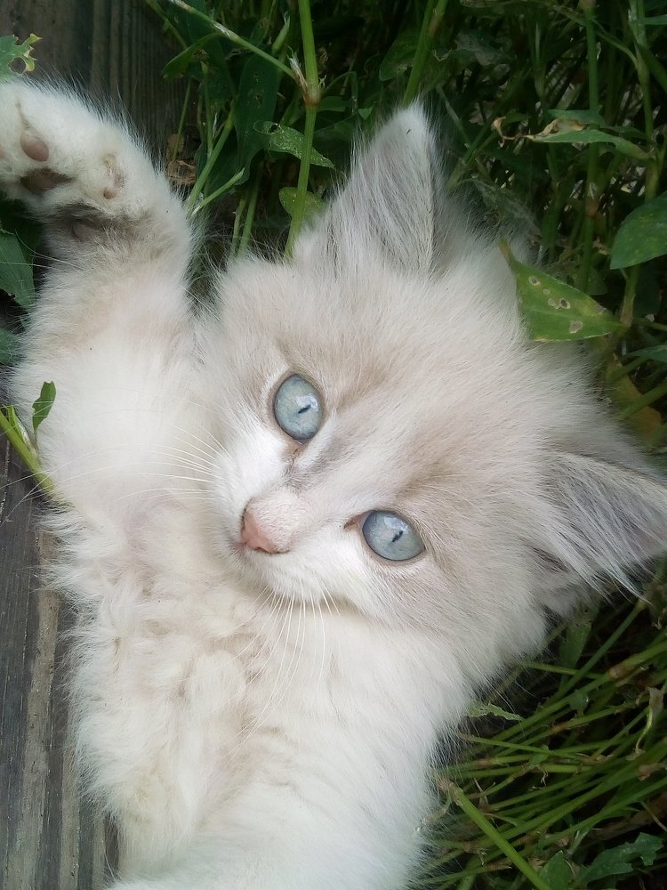 Photograph by Маргарита Данилина