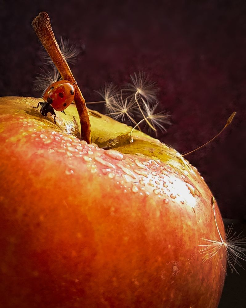 Осенний вальс.