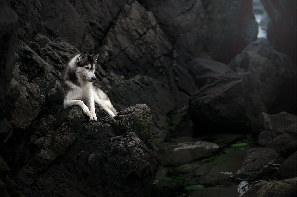 Photograph by Светлана Писарева