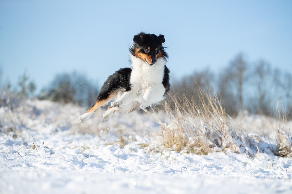 Photograph by Светлана Писарева