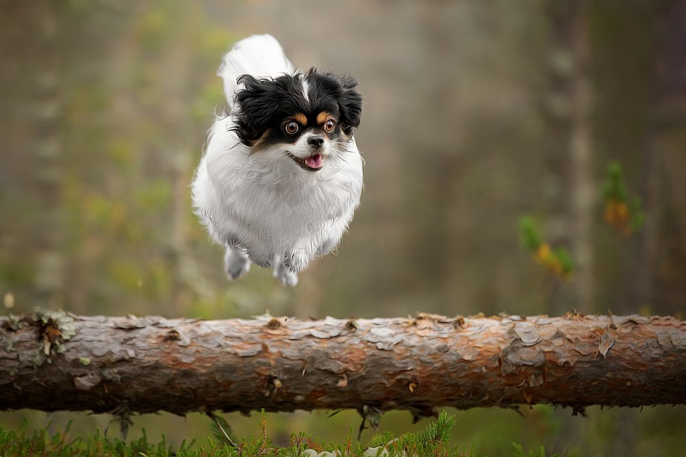 Photograph by Светлана Писарева